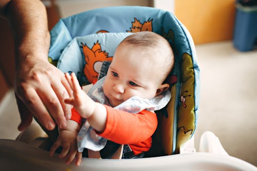 Crop person touching curious cute baby sitting in chair for feeding in kitchen