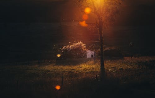 Sunset over grassy field and rural cottage