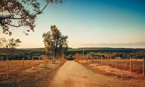 Foto d'estoc gratuïta de a l'aire lliure, a pagès, agricultura