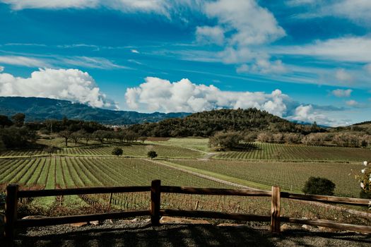 Healdsburg Ridge Open Space near Healdsburg