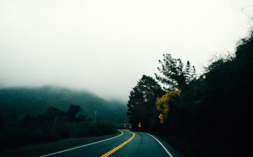 Free Empty asphalt roadway running amidst lush green trees in grassy highlands covered with dense fog Stock Photo