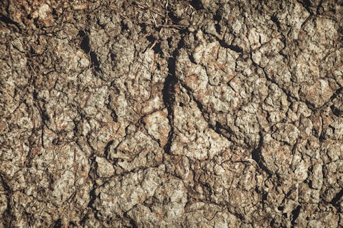 Gratis stockfoto met aarde, structuur