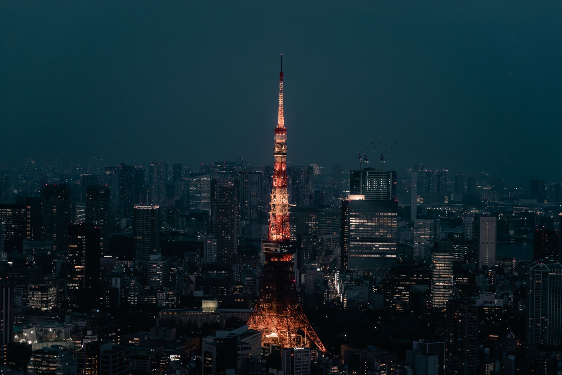 The Famous Tokyo Tower  at Night in Tokyo, Japan