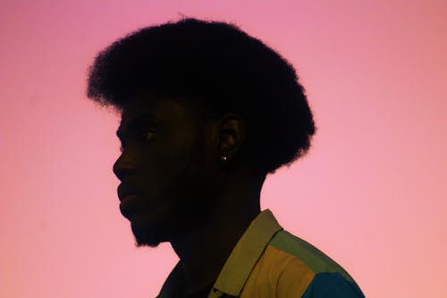Free stock photo of afro hair, pink sky, silhouette Stock Photo