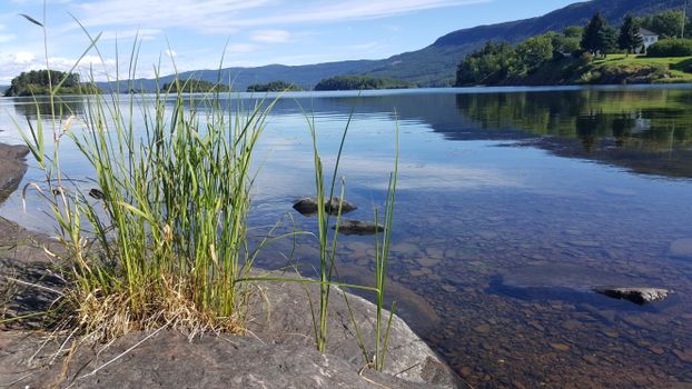 挪威霍尔的湖景宁静，湖水清澈，芦苇摇曳，山脉风景优美