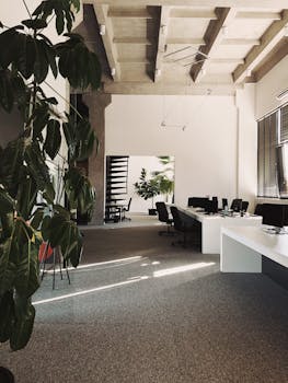 A minimalist office space featuring desks, chairs, and indoor plants for a modern work environment.