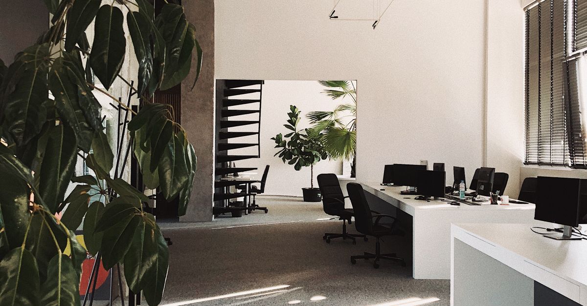 Workplace Spacious Spacious Workplace with Indoor Plants · Free Stock Photo