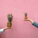 Two People Holding Pineapple Fruit on Their Palm