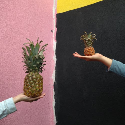 Free Two People Holding Pineapple Fruits Against a Multicolored Wall Stock Photo