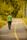 walking