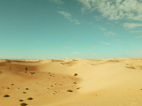 Free Desert Land and Sand Dunes Under Blue Sky Stock Photo