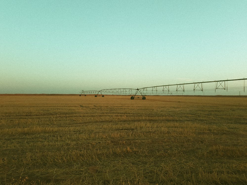 Brown Grass Field With Gray Metal Bridge