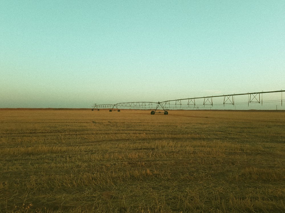 Foto profissional grátis de agricultura, área, chácara