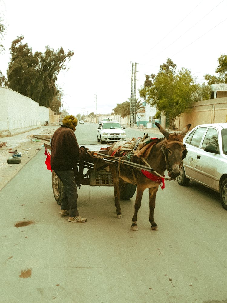 Man In Brown Jacket Standing On The Road With A Cart Pulled By A Mule