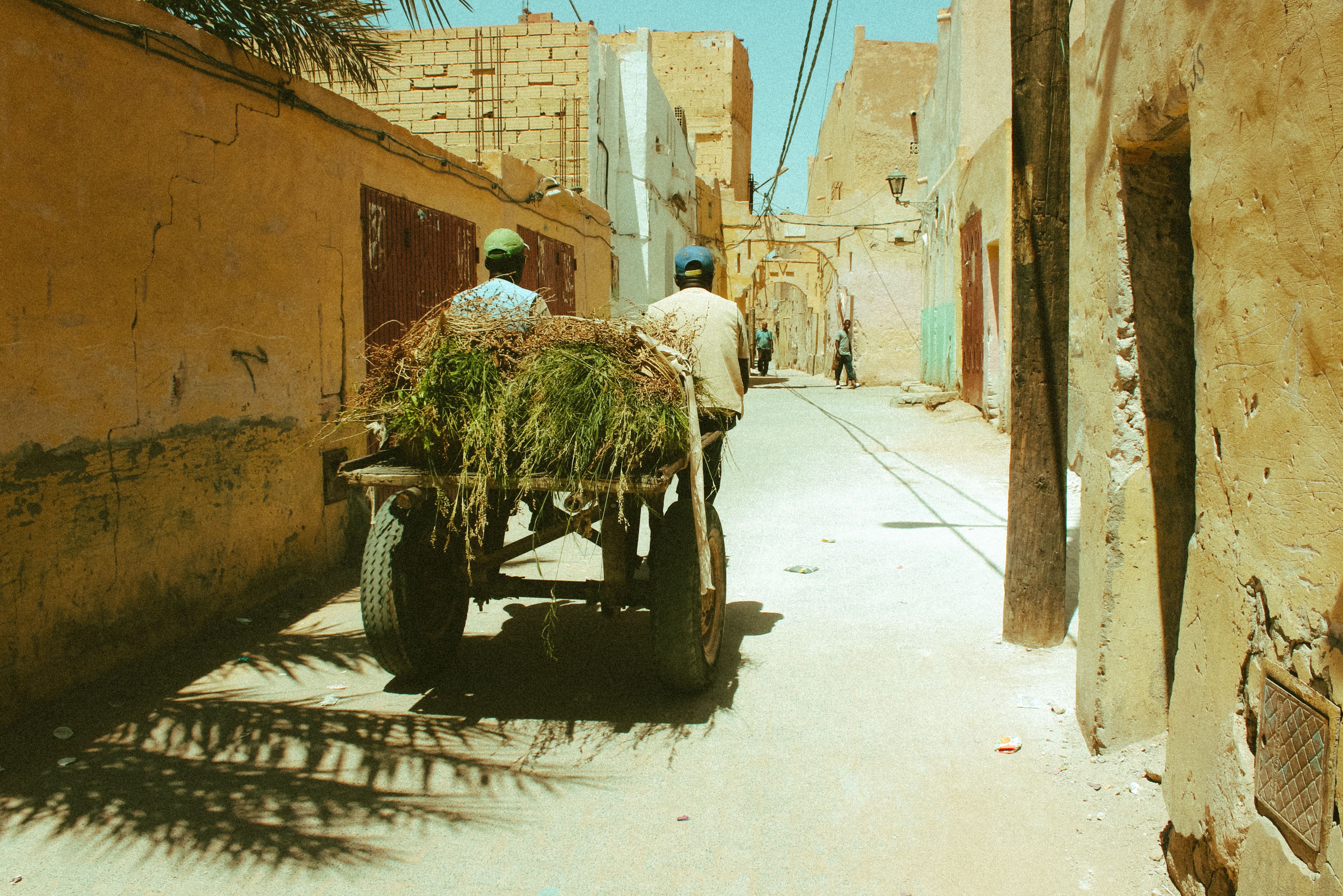 Two Men Riding on a Cart in an Alley · Free Stock Photo