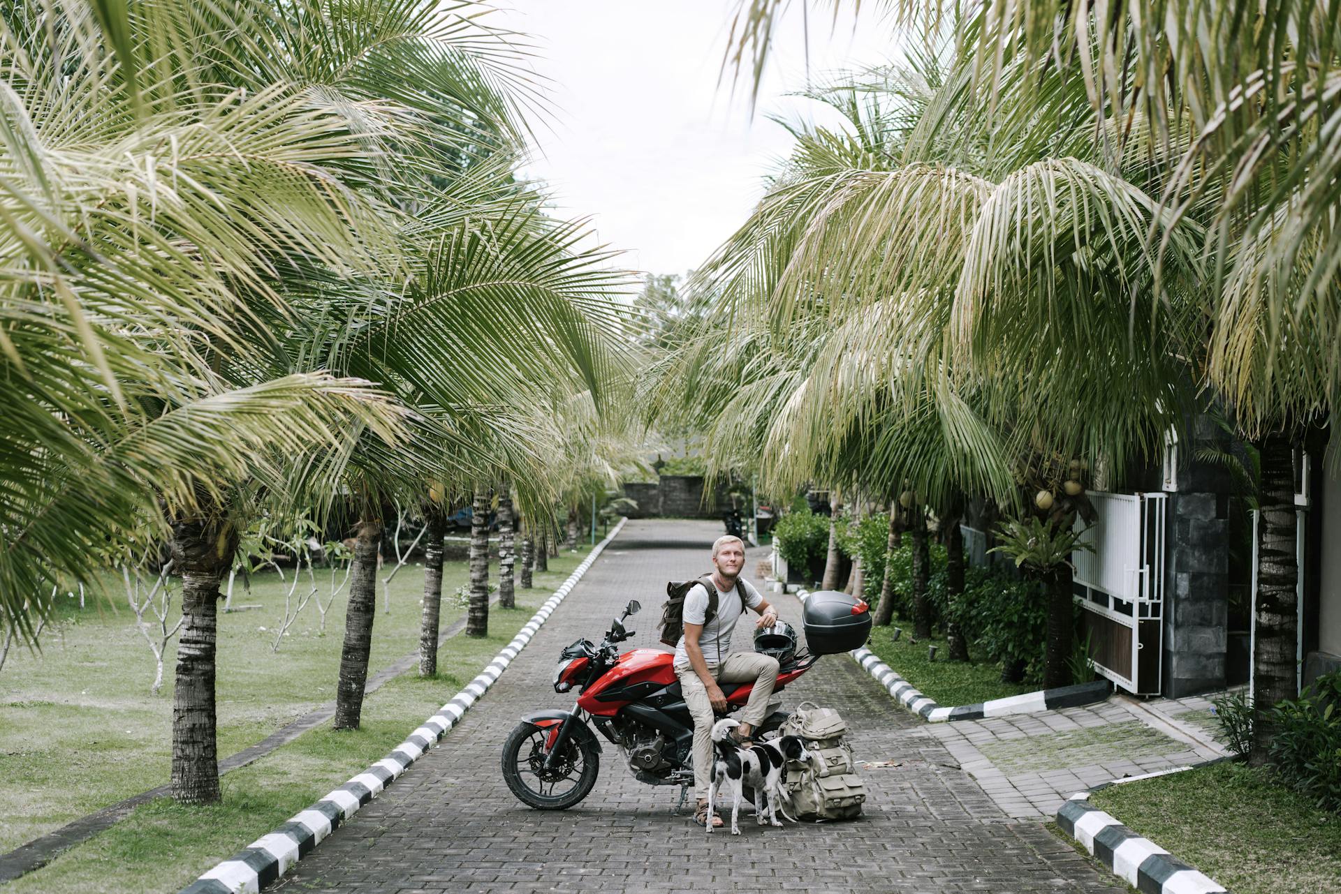 Male traveler sitting on motorcycle near dog on street