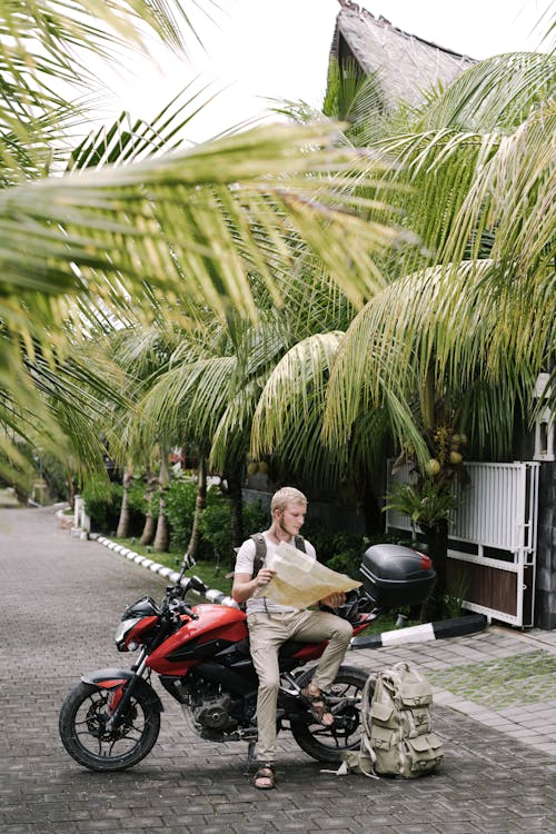 Full length male traveler studying map of city while leaning on motorcycle near duffle bag on street pavement among palms branches
