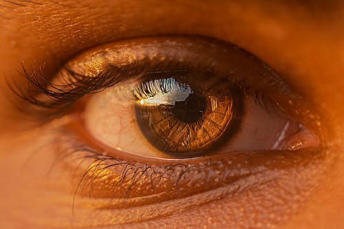 Free Person's Eye in Macro Photography Stock Photo