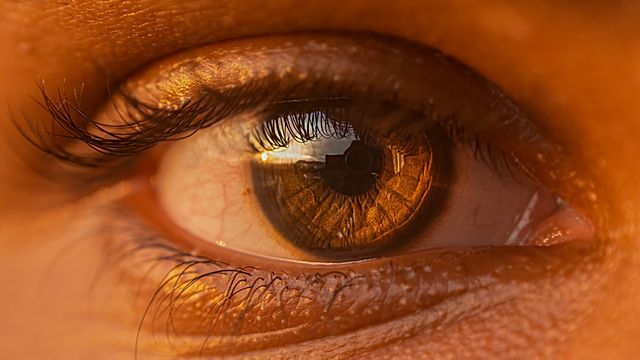 Realce seu Olhar em São Paulo: Micropigmentação de Olhos e Seus Detalhes - Augusta Perfection