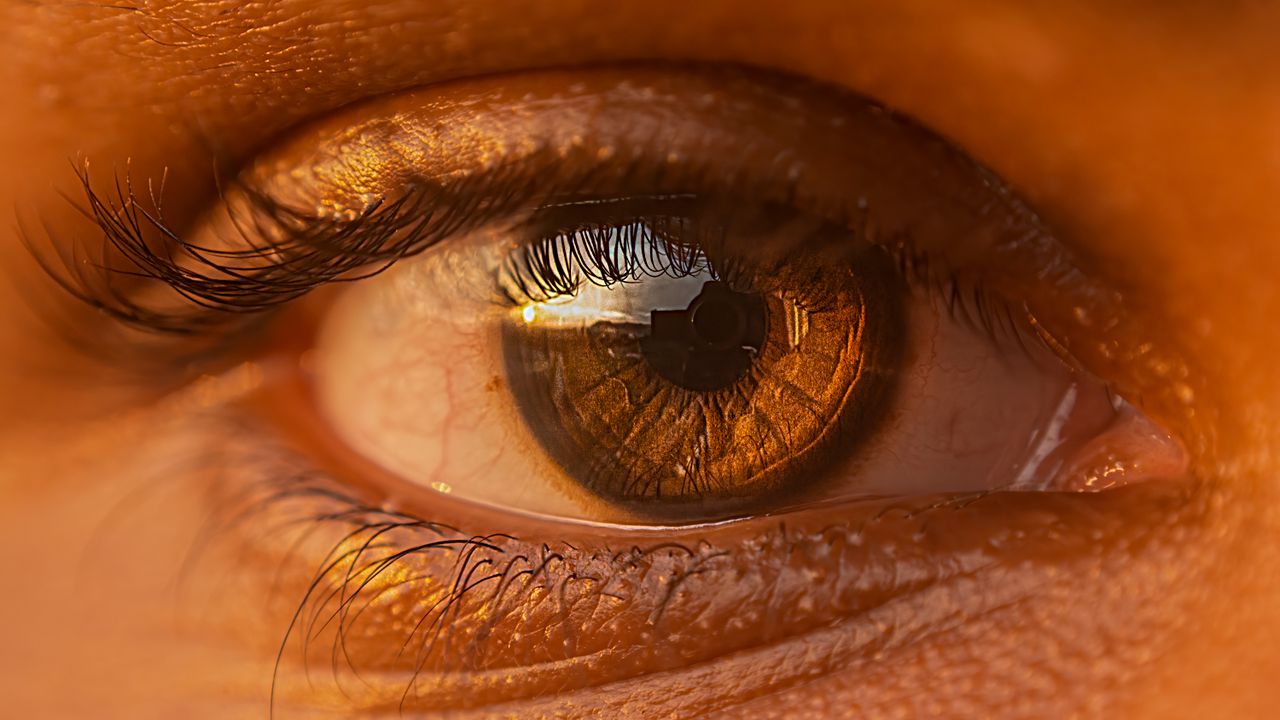 Realce seu Olhar em São Paulo: Micropigmentação de Olhos e Seus Detalhes - Augusta Perfection