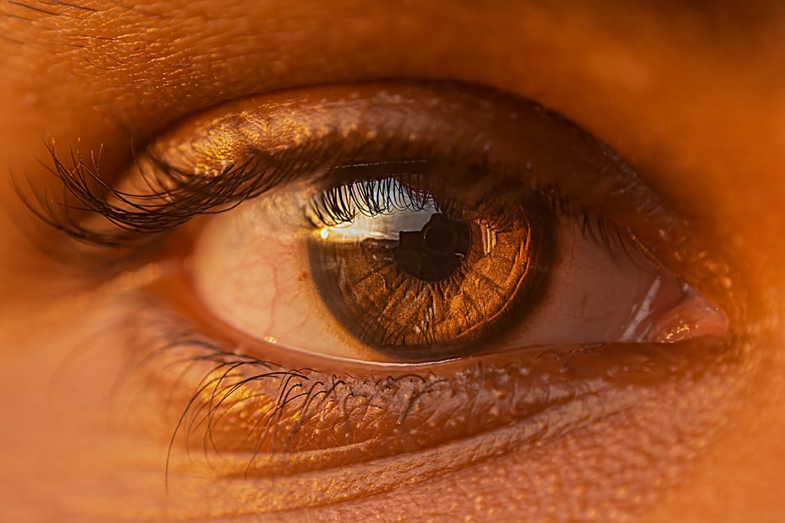 Person's Eye in Macro Photography