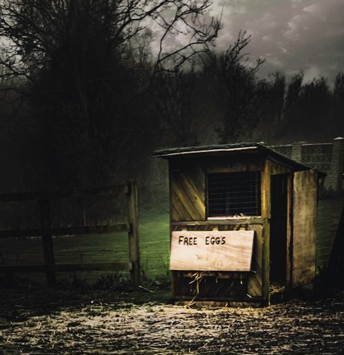 Free stock photo of chicken, coop, dark clouds Stock Photo