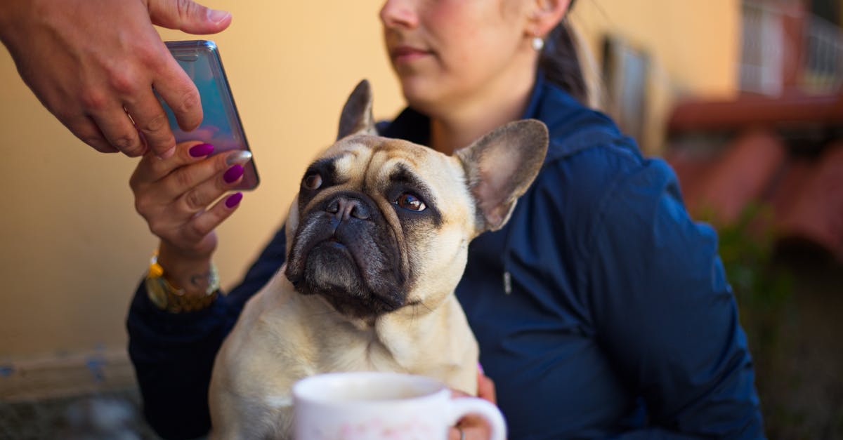 Woman with dog and smartphone in cafe
