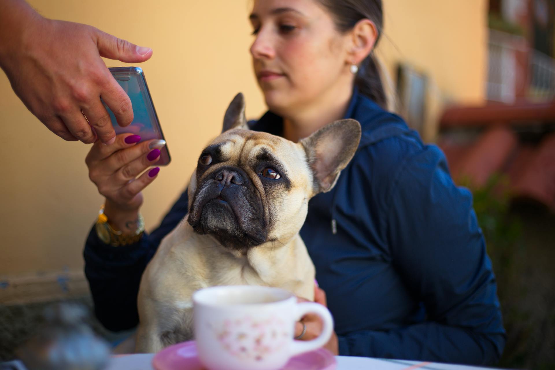 Woman with dog and smartphone in cafe