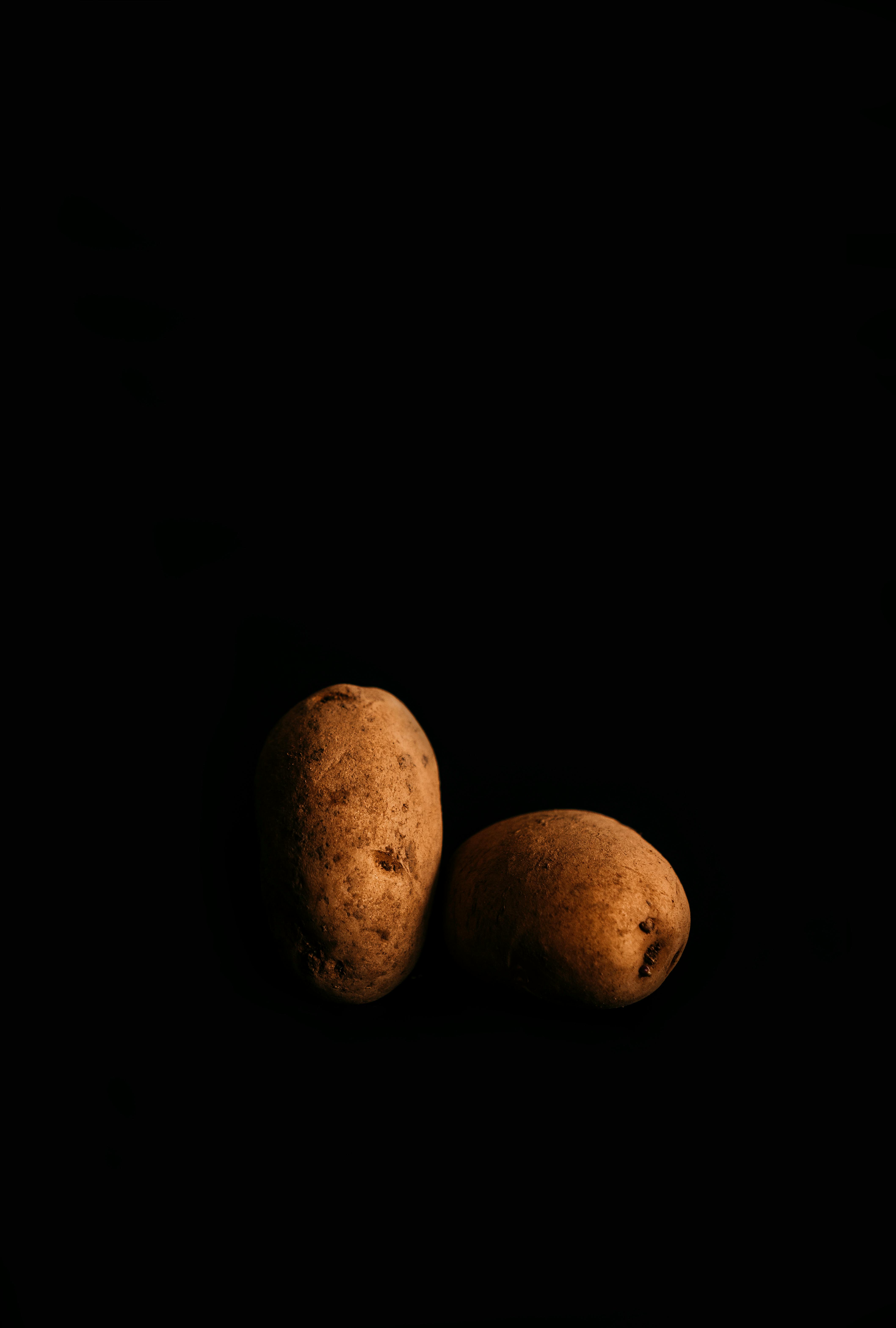 two brown and beige stones