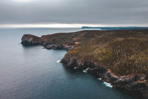 Free Amazing scenery of calm sea water near forest trees growing on rough terrain under cloudy sky Stock Photo
