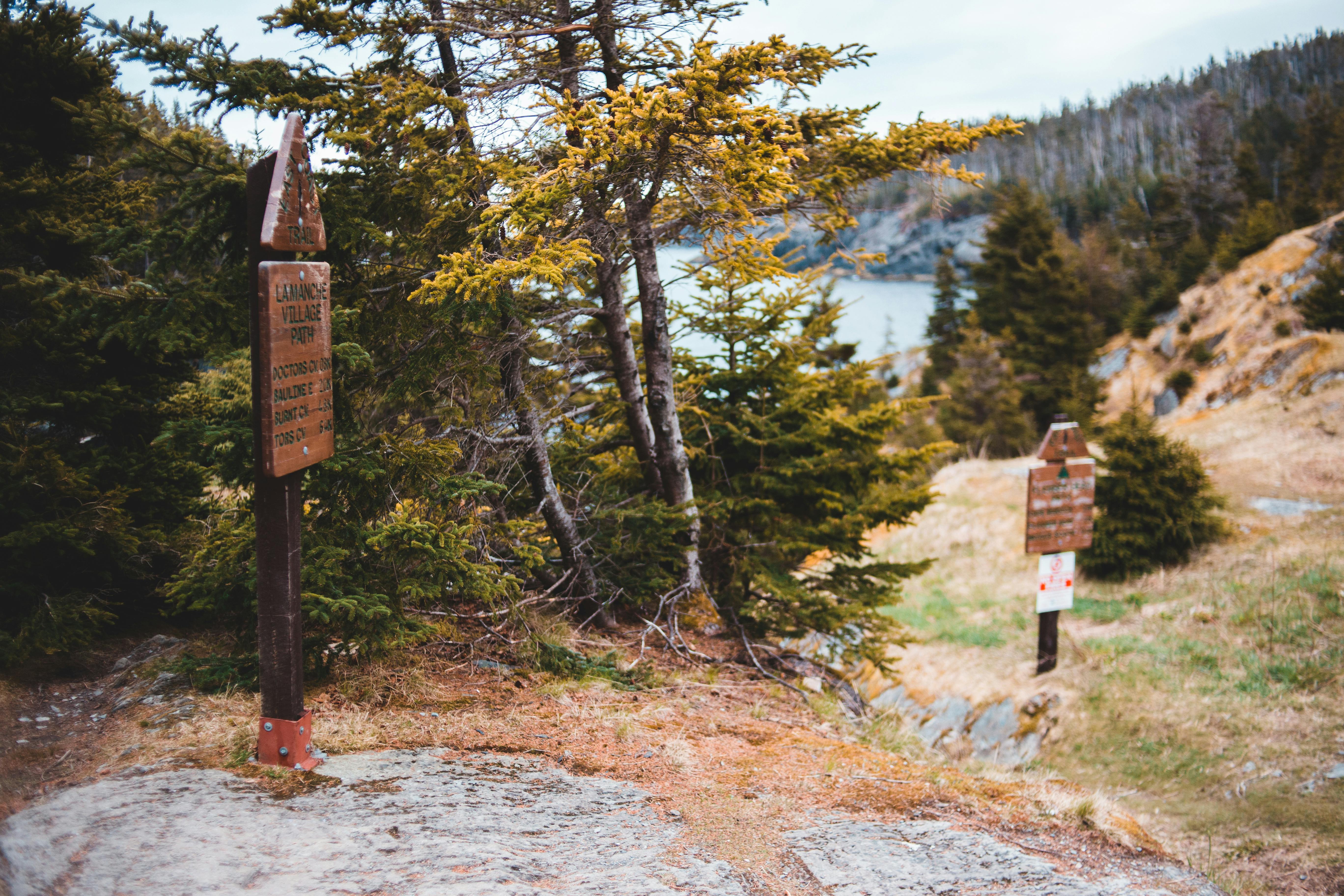 Exploring the Seasonal Changes in Laredo Texas: A Complete Climate Guide