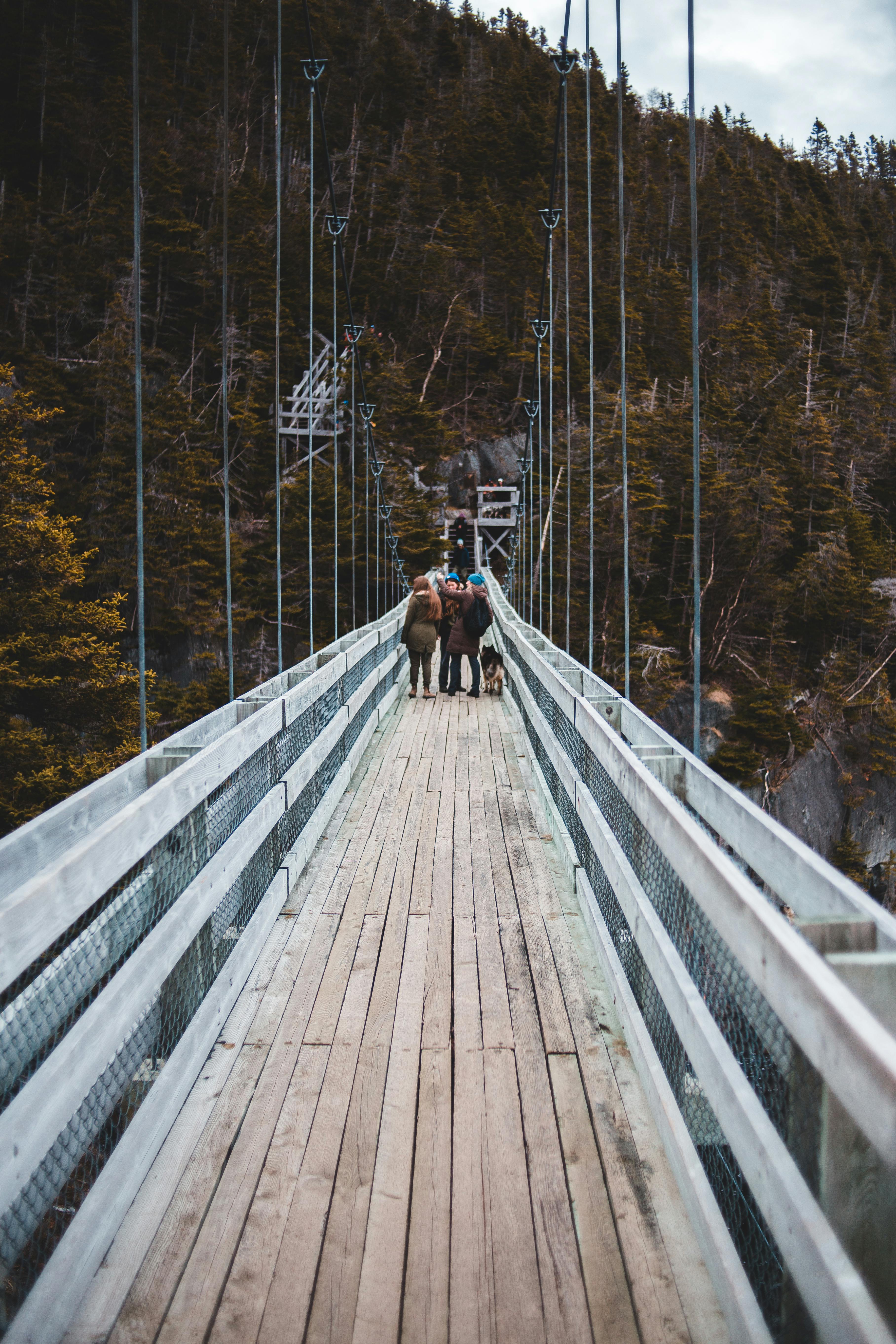 Back view of unrecognizable travelers in warm cloths standing on wooden suspension bridge with dog and admiring picturesque view of coniferous forest