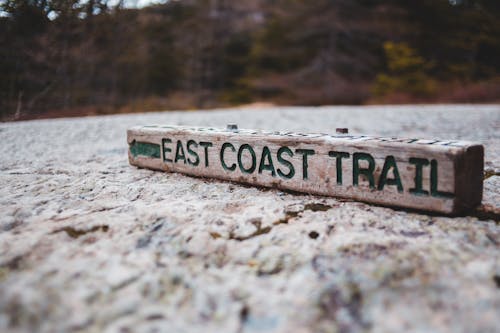 Ground level of wooden direction sign with east coast trail inscription placed on road near forest
