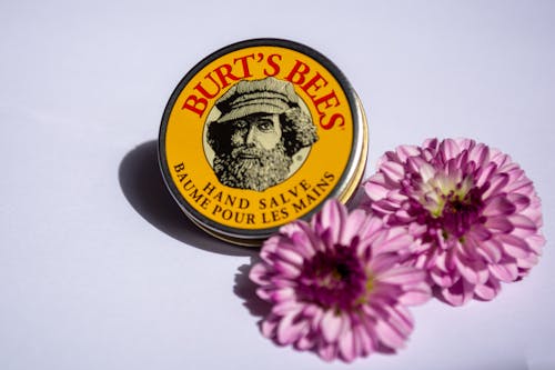 Fotobanka s bezplatnými fotkami na tému biely povrch, burts bees, flóra