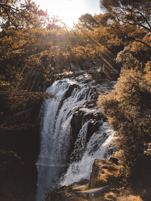 Free Waterfalls Surrounded With Trees With Sunrays Stock Photo