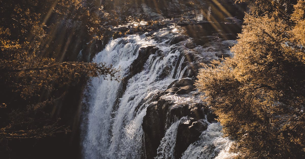 Waterfalls Surrounded With Trees With Sunrays