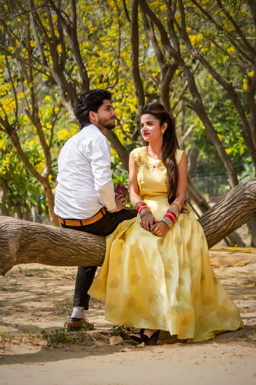 Free Couple sitting on a tree branch in a sunlit park, dressed elegantly with soft hues and a romantic mood. Stock Photo