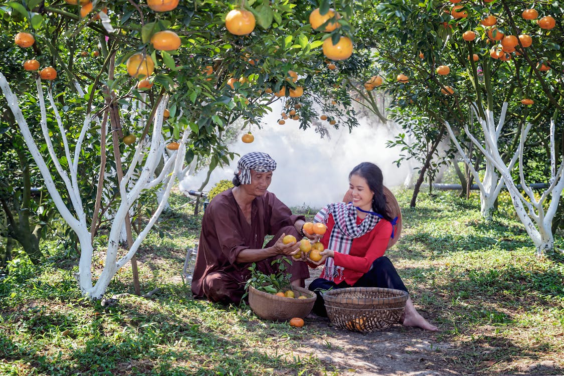 Man And Woman Enjoying The Harvested Fruits