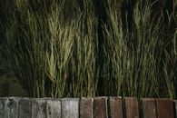 Brown Wooden Log on Green Grass Field