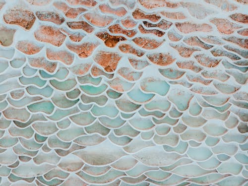 무료 물고기 비늘 콘크리트 벽돌 스톡 사진