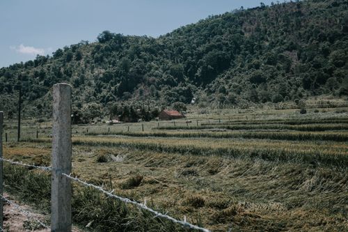 Free Beautiful countryside landscape featuring fields and a house with a mountain backdrop. Stock Photo