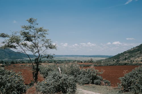 Light blue sky with clouds above mountain slopes next to ploughed fields and bushes in countryside