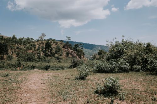 Free Green field next to mountain slopes covered with trees and forest under blue sky Stock Photo
