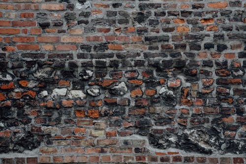 Gratis lagerfoto af beton, cement, mønster