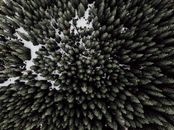 无人机拍摄下，冬季的常绿森林茂密繁盛，零星点缀着积雪