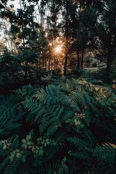 Image by Ave Calvar Martinez