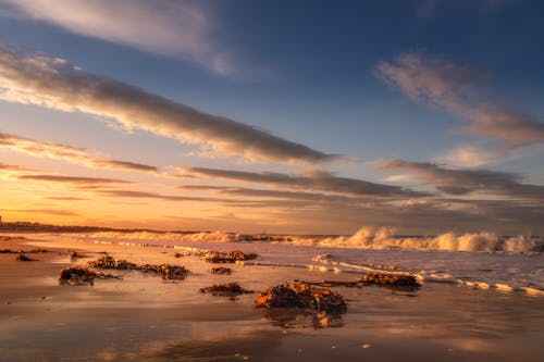 Gratis lagerfoto af aften, blågrøn, bølge