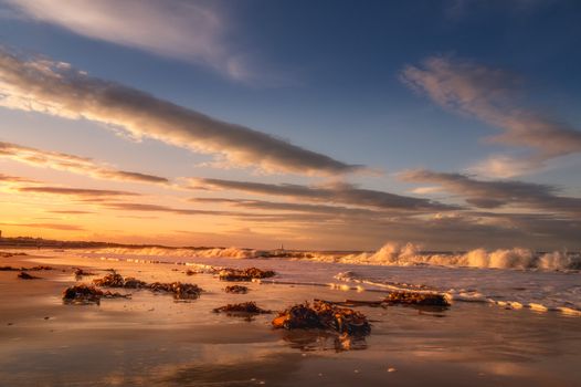 Seascape of storming sea splashing on sandy shore with seaweed under bright cloudy sky at sundown