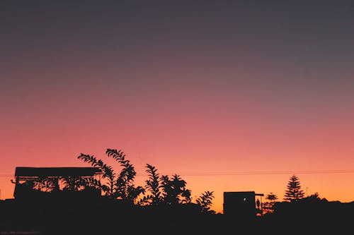 Immagine gratuita di alberi, cielo, esterno