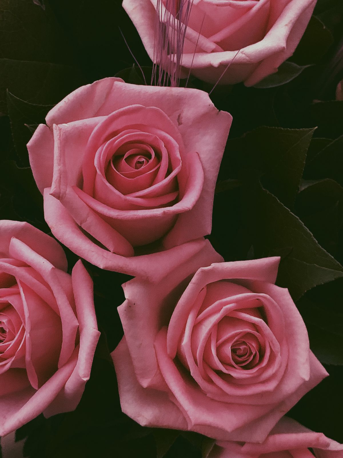 Edit